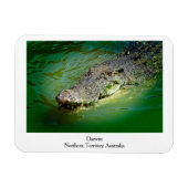 Darwin Northern Territory - Crocodile Magnet Magneet (Horizontaal)