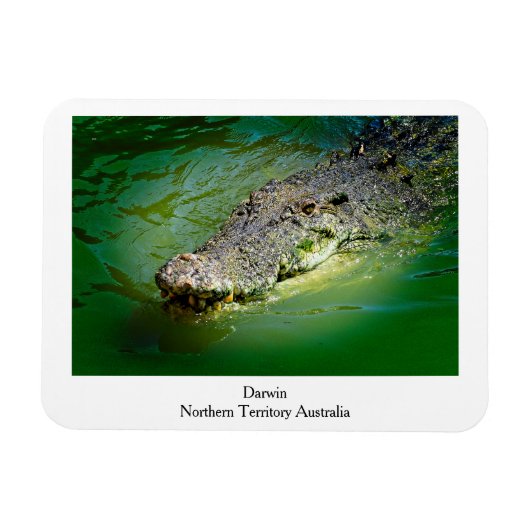 Darwin Northern Territory - Crocodile Magnet Magneet (Horizontaal)
