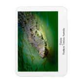 Darwin Northern Territory - Crocodile Magnet Magneet (Verticaal)