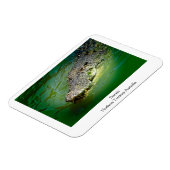 Darwin Northern Territory - Crocodile Magnet Magneet (Linkerzijde)