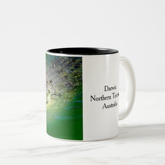 Darwin Northern Territory - Crocodile Mok (Voorkant rechts)