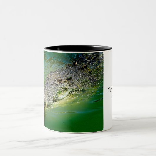 Darwin Northern Territory - Crocodile Mok (Center)