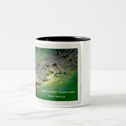 Darwin Northern Territory - Crocodile Mok (Center)