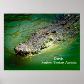 Darwin Northern Territory - Crocodile Poster (Voorkant)