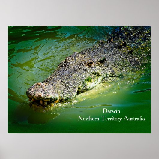 Darwin Northern Territory - Crocodile Poster (Voorkant)