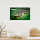 Darwin Northern Territory - Crocodile Poster (Keuken)