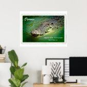 Darwin Northern Territory - Crocodile Poster (Thuiskantoor)