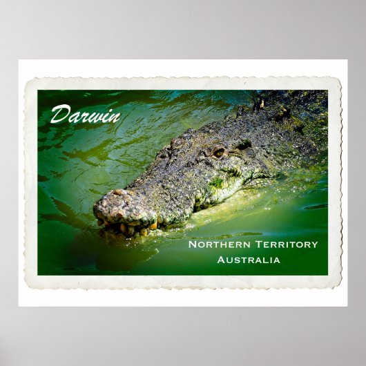 Darwin Northern Territory - Crocodile Poster (Voorkant)