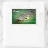 Darwin Northern Territory - Crocodile Sticker Pack (Tas)