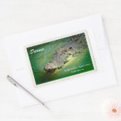 Darwin Northern Territory - Crocodile Sticker Pack (Envelop)
