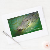 Darwin Northern Territory - Crocodile Stickers (Envelop)