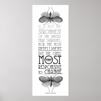 Darwin Quote Evolution Poster