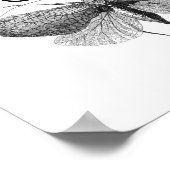 Darwin Quote Evolution Poster (Hoek)