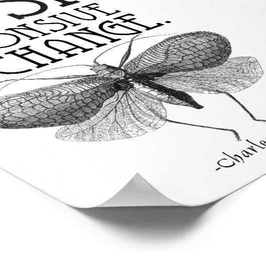 Darwin Quote Evolution Poster (Hoek)