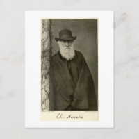 Darwin stand naast een pijler, gepubliceerd in 190