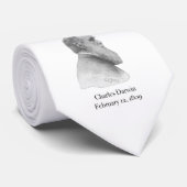 Darwin Stropdas (Opgerold)