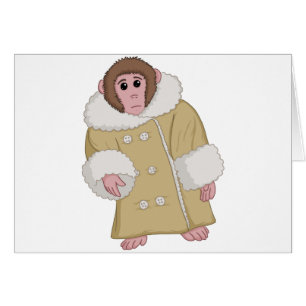 Darwin the Ikea Monkey