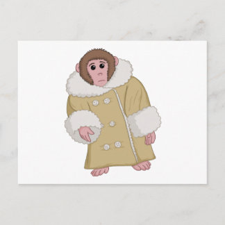 Darwin the Ikea Monkey Briefkaart