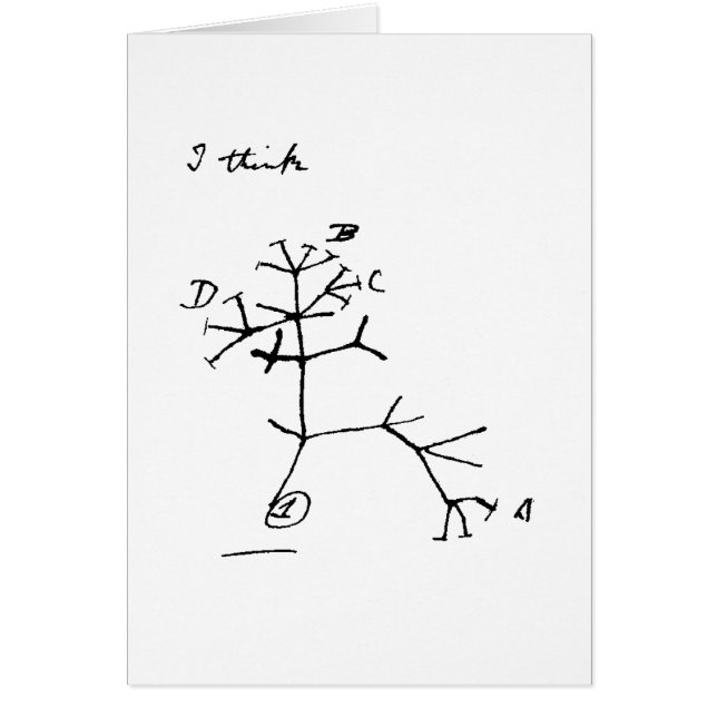 Darwin Tree (Voorkant)