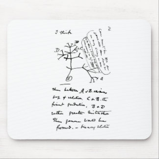 Darwin Tree Muismat