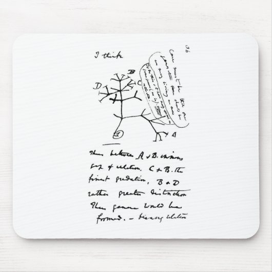 Darwin Tree Muismat (Voorkant)