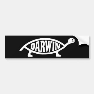 Darwin Turtle/Tortoise Bumpersticker