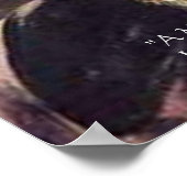 Darwin "Value Of Life" Wisdom Quote Posters (Hoek)