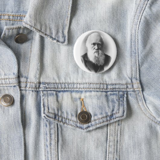 Darwin Vignette Button (In situ)