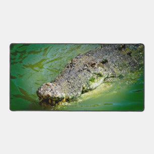 Darwin - Zoutwaterkrokodil Bureaumat
