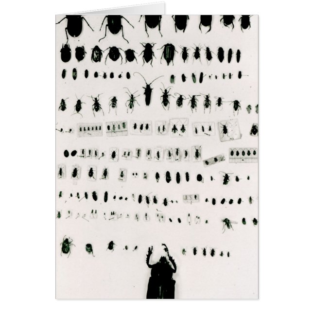 Darwins collectie (Voorkant)