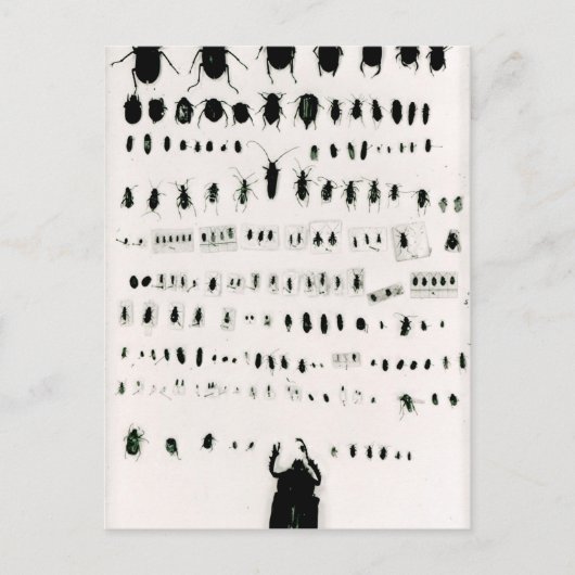 Darwins collectie briefkaart (Voorkant)