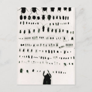 Darwins collectie briefkaart