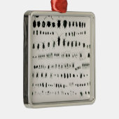 Darwins collectie metalen ornament (Rechts)