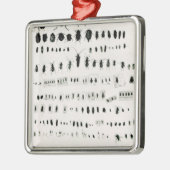 Darwins collectie metalen ornament (Links)