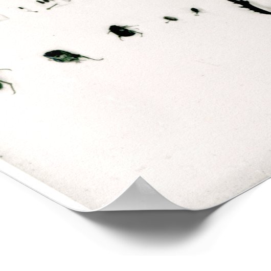 Darwins collectie poster (Hoek)