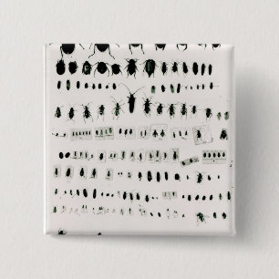 Darwins collectie vierkante button 5,1 cm