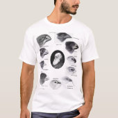 Darwin's finches t-shirt (Voorkant)