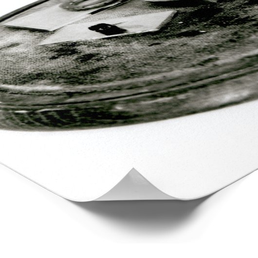 Darwins microscoop poster (Hoek)