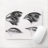 Darwins vogelwaarnemingen muismat (Met muis)