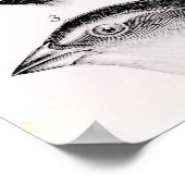 Darwins vogelwaarnemingen poster (Hoek)
