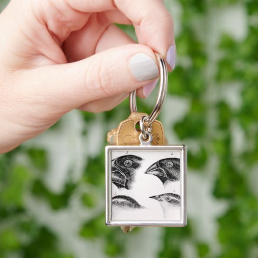 Darwins vogelwaarnemingen sleutelhanger (Hand)