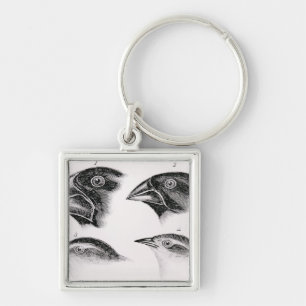 Darwins vogelwaarnemingen sleutelhanger