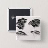 Darwins vogelwaarnemingen vierkante button 5,1 cm (Voorkant /achterkant)