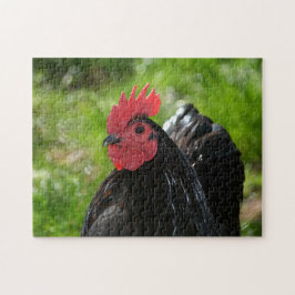Das Huhn Legpuzzel