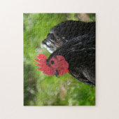 Das Huhn Legpuzzel (Verticaal)