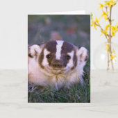 Das Kaart (Gele Bloem)