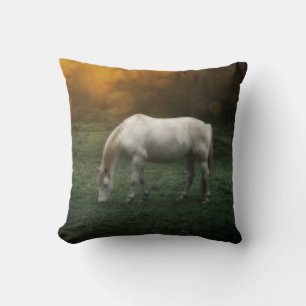 Das Pferd Kussen