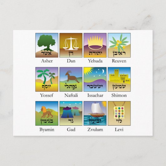 Das van Brasões Doze Tribos DE Israël conforme een Briefkaart (Voorkant)