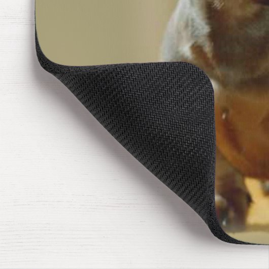 daschenmuispad muismat (Hoek)