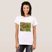 Daschund-dames uitgerust met T-Shirt (Voorkant volledig)